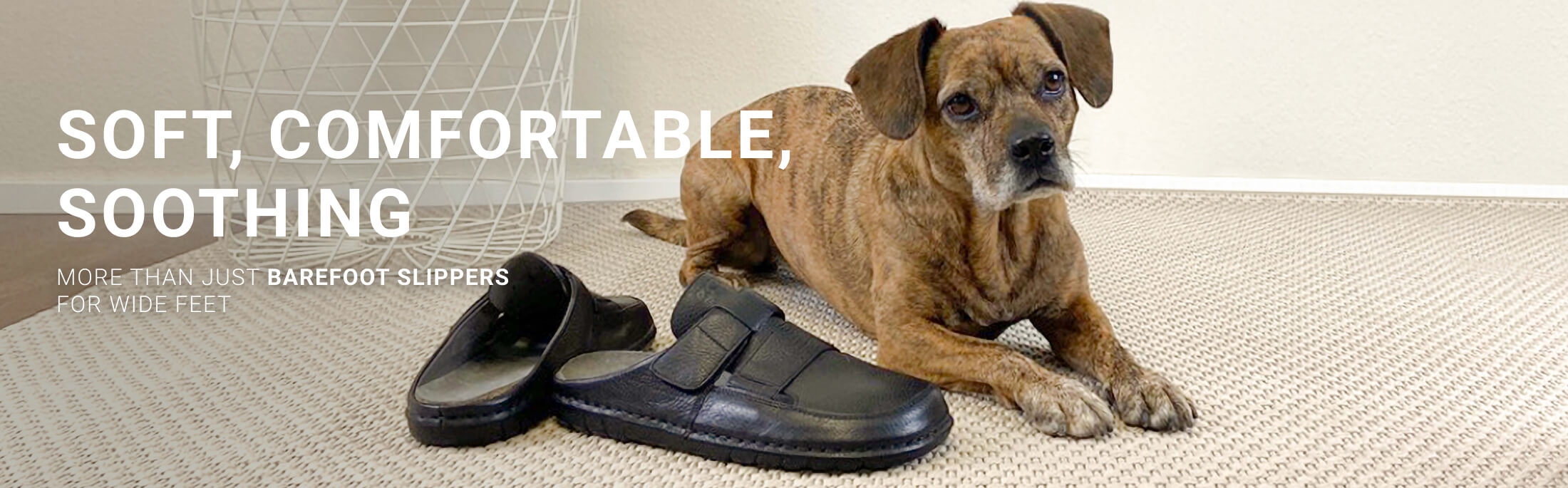Dog lying on carpet next to a pair of black barefoot slippers