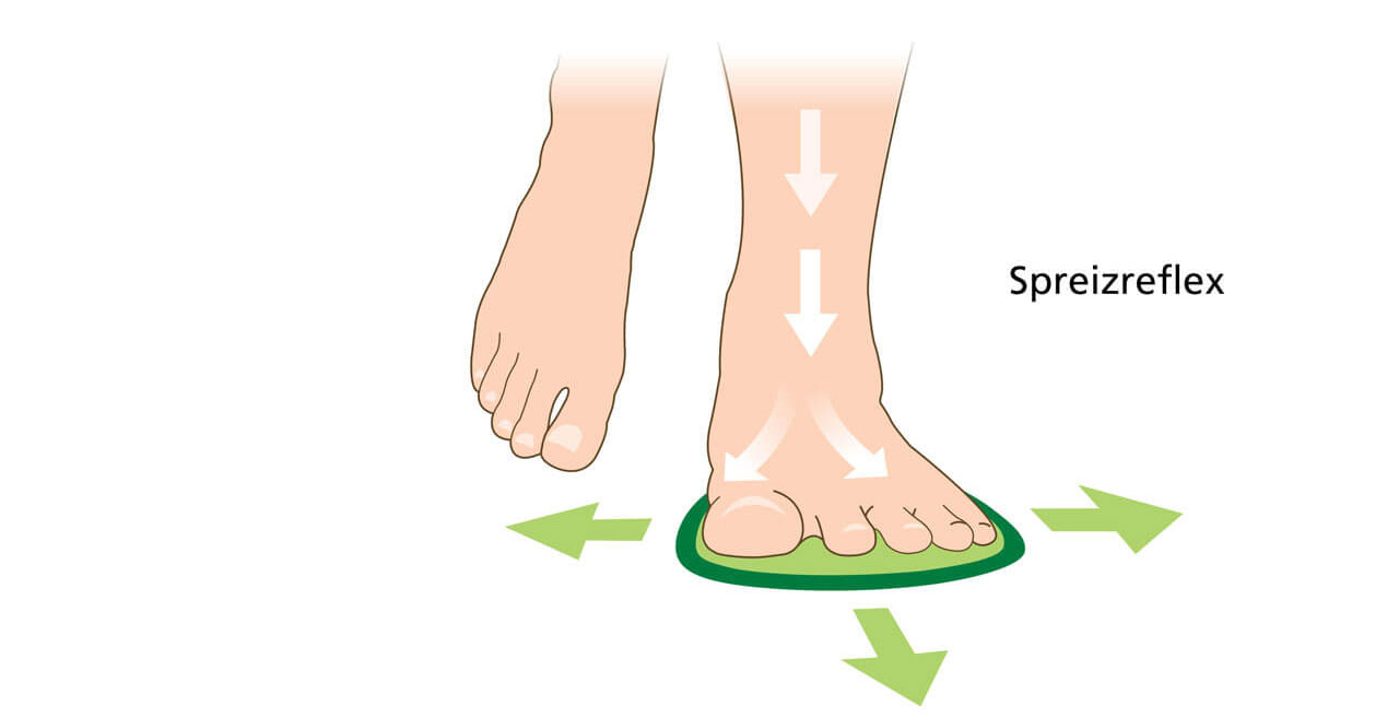 Diagram showing foot splay reflex with directional arrows indicating movement in different directions.
