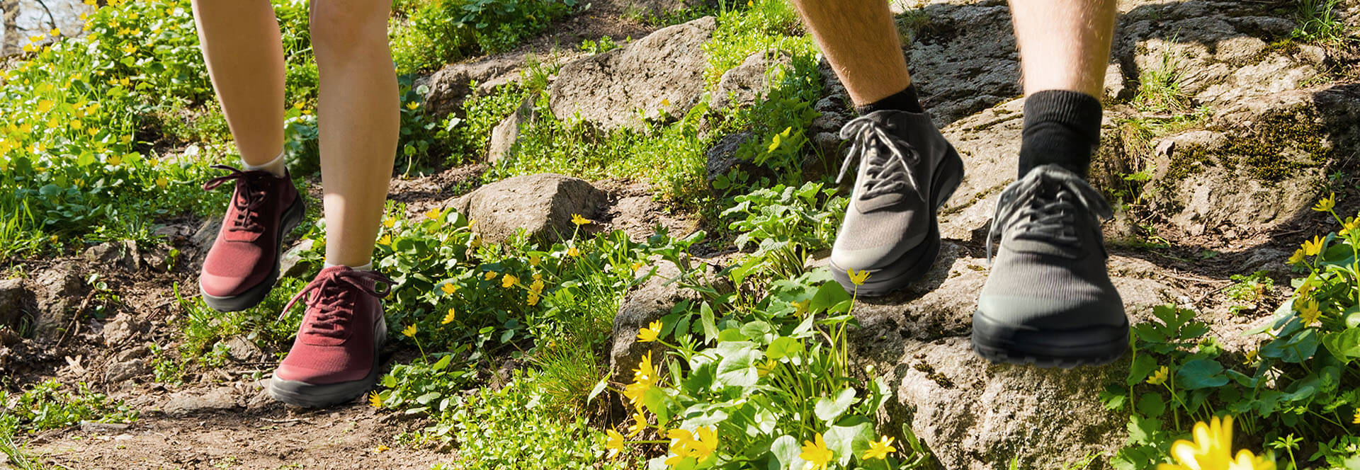 Close-up of two people wearing hiking shoes walking on a rocky trail surrounded by green plants and yellow wildflowers