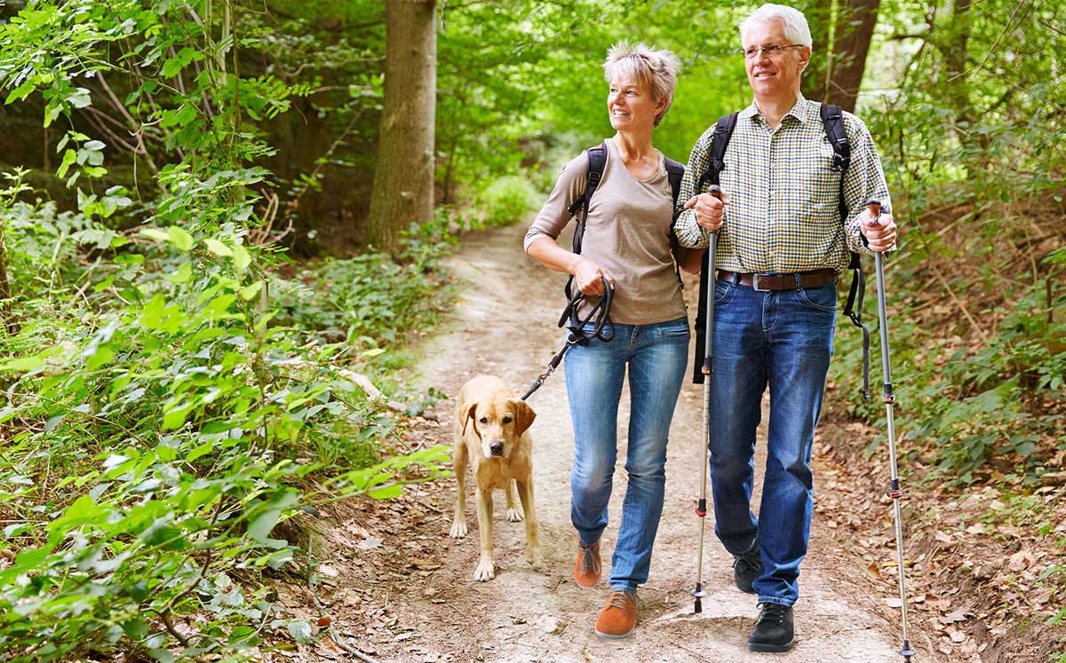 An elderly couple walking on a forest trail with their dog, carrying trekking poles and wearing casual outdoor clothing.