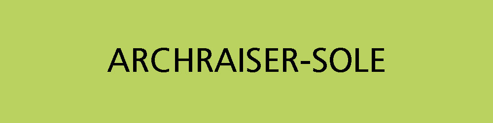 Archraiser Sole logo text on a light green background