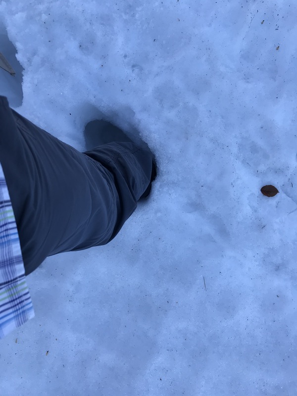 A person wearing a jacket and pants stepping through deep snow