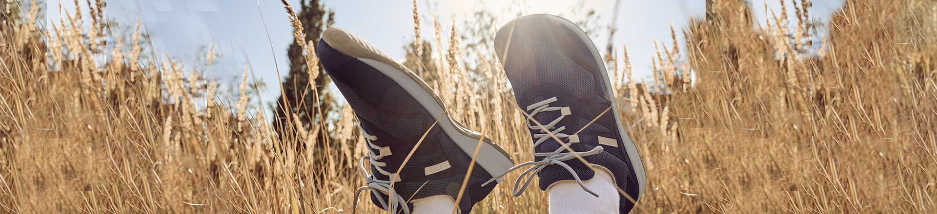 A pair of black sneakers with white soles resting in a field of tall, dry grass under a bright blue sky.
