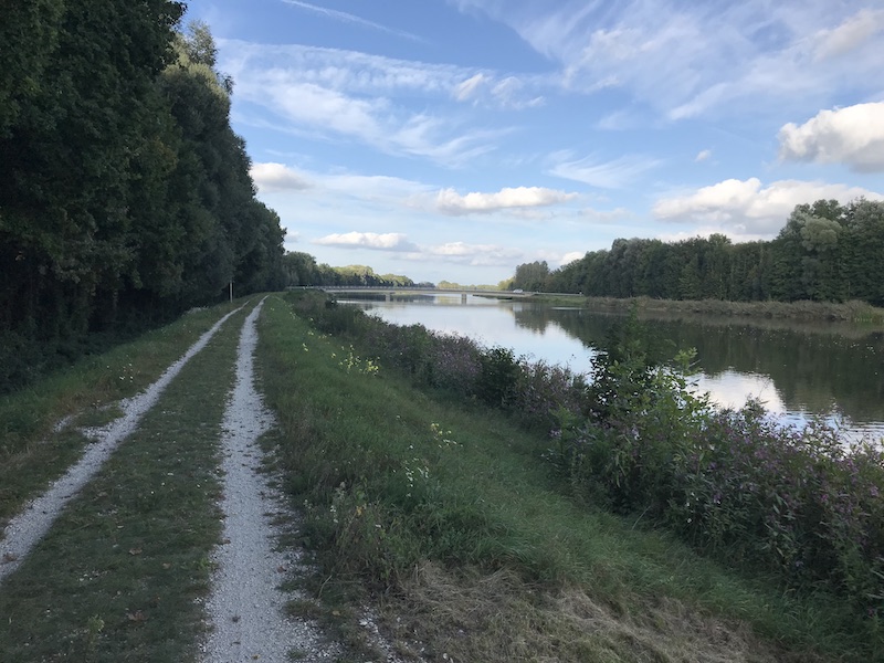 Pathway beside a calm river with lush trees and a clear sky