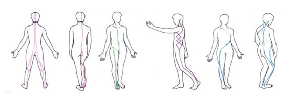Illustration showing human figures in various postures, each marked with distinct colored lines to indicate different anatomical patterns or pathways.