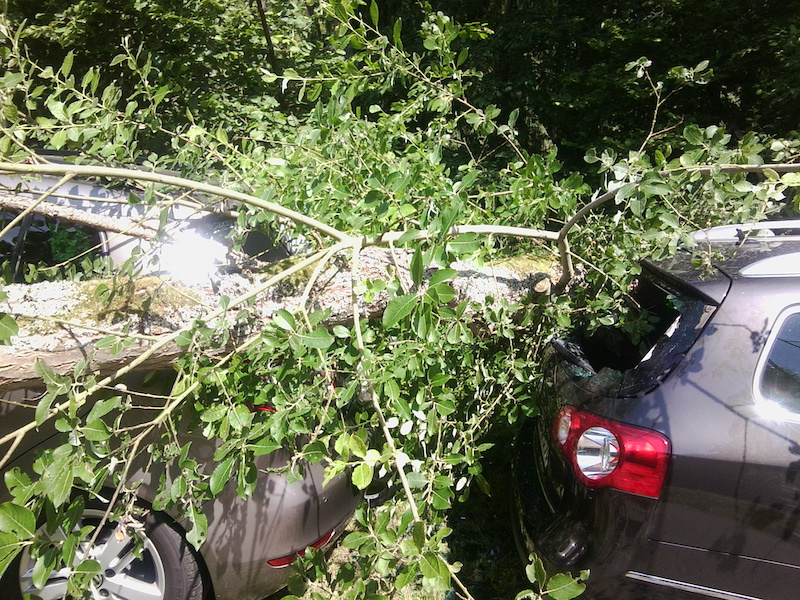A large tree branch has fallen onto two parked cars, causing visible damage.